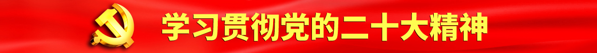 吊逼视频网站认真学习贯彻落实党的二十大会议精神