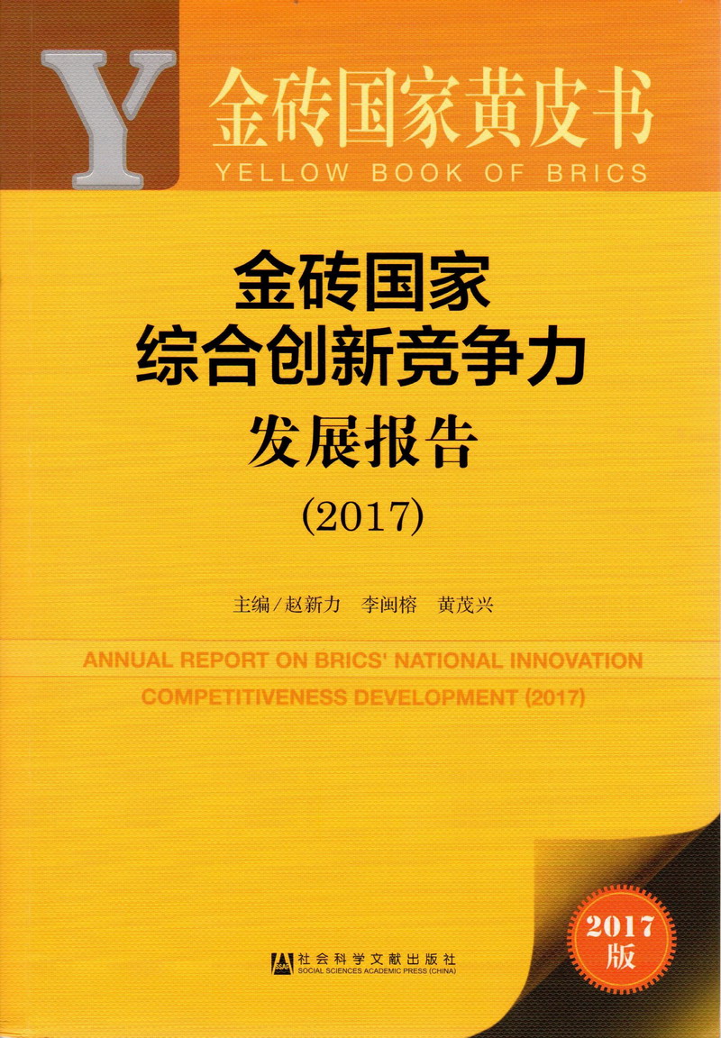 男人用鸡八子干女婊子的逼逼里面的视频网站金砖国家综合创新竞争力发展报告（2017）